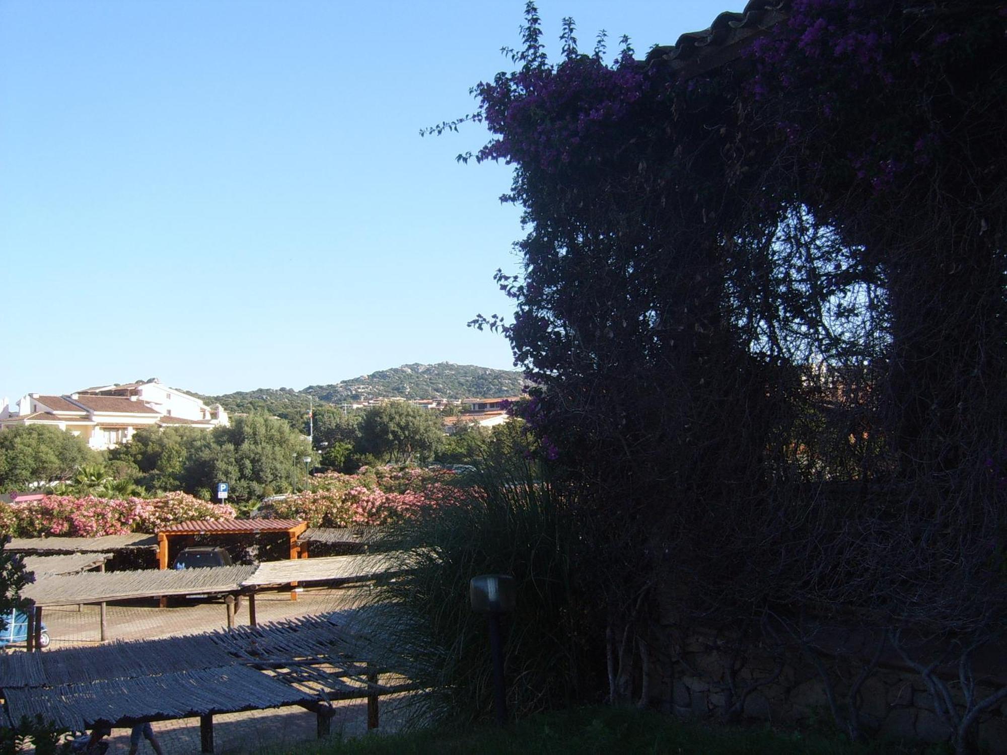Sole&Luna Apartments Porto Rotondo Room photo