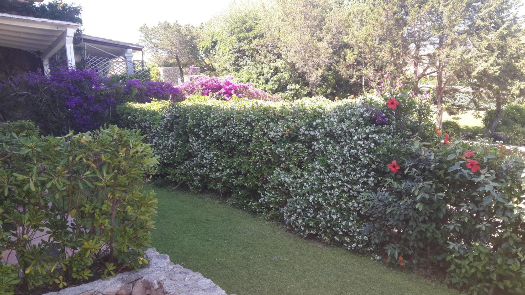 Sole&Luna Apartments Porto Rotondo Exterior photo